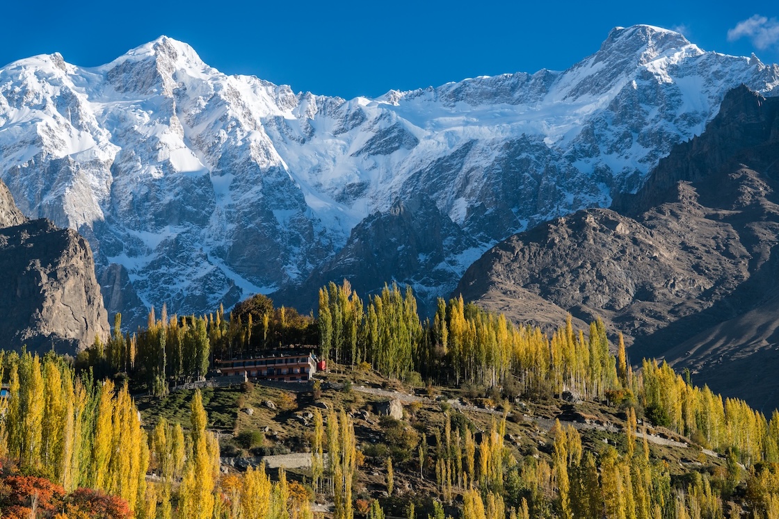 Image 7
